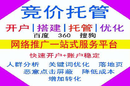 SEM代理助力品牌：案例解析与优化策略
